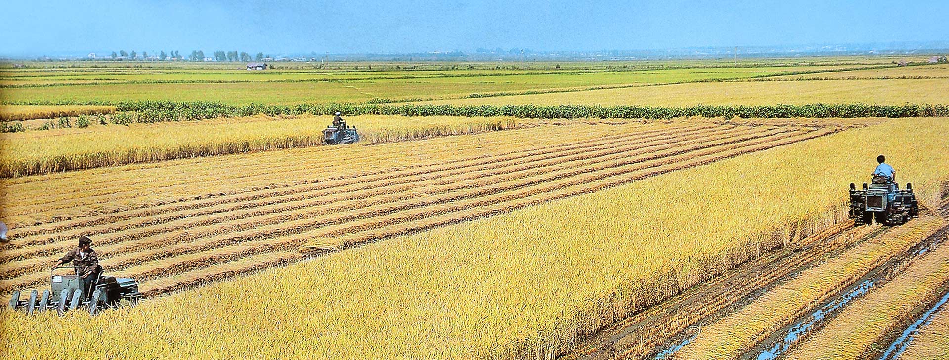 1-14년동안에 일어난 기적